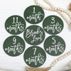 Brooks Liam Milestone Markers